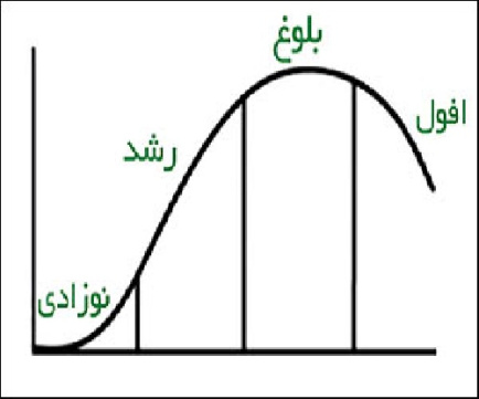 دانلود فایل پاورپوینت درباره مراحل موجود در چرخه حیات محصول  در بازار شناسی