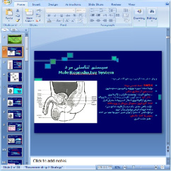 دانلود پاورپوینت سيستم تناسلي مرد- 38 اسلاید