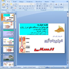 دانلود پاورپوینت فیزیولوژی دستگاه دفع ادرار - 11 اسلاید