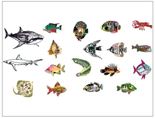 فایل اتوکد آبجکت انواع ماهی و آبزیان دریایی