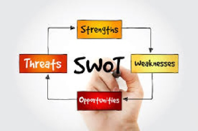 تجزیه و تحلیل سوات (swot) وب سایت پونیشا