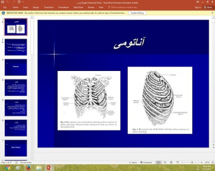 پاورپوینت درباره آناتومی