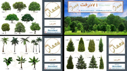 بسته 71 درخت (شامل 71 درخت جهت استفاده در پست پروداکشن و رندر معماری)