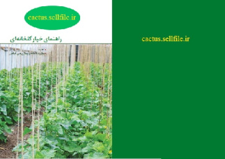 راهنمای خیار گلخانه ای