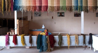 تحقیق درباره فرش دستبافت ايران و طرز تهیه رنگهاي گياهي قالیبافی