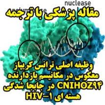 مقاله پزشکی با ترجمه: وظیفه اصلی ترانس کریپاز معکوس در مکانیسم بازدارنده CNIHOZ94 در جا به جا شدگی هسته ای HIV-1