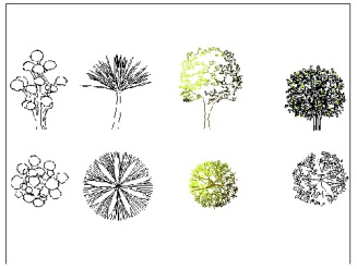 فایل اتوکد آبجکت انواع درختان تزئینی