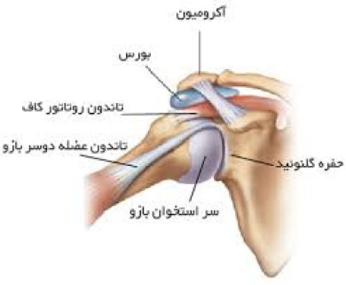 پاورپوینت آسیب های شانه