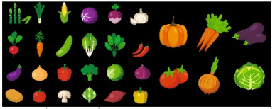 وکتور سبزیجات -کلم -کاهو-سیر-هویج -گوجه -فایل کورل