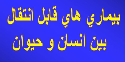 باوربوینت درمورد بيماري هاي قابل انتقال   بين انسان و حيوان