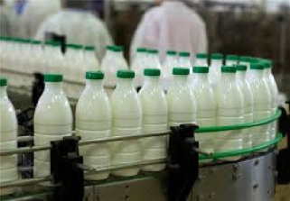 تحقیق  درباره کارخانه شیر بهنام جام