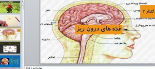 پاورپوینت فصل چهارم گفتار  دوم  زیست شناسی تجربی یازدهم