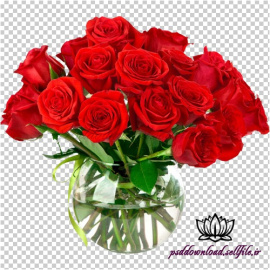 تصویر ترنسپرنت گل رز قرمز در گلدان شیشه ای