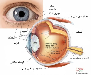 دانلود طرح جابر چشم انسان