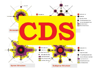 دانلود پاورپوینت استراتژی توسعه شهری (CDS)