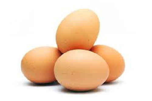 پروژه فرآوری تخم مرغ