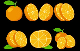 وکتور پرتقال-فایل کورل