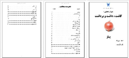 تحقيق رشته هاي کشاورزی و زراعت با عنوان کاشت داشت و برداشت پیاز