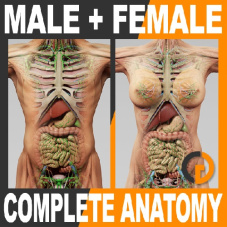 بدن انسان مرد و زن و اندامهای داخلی