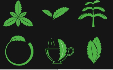 وکتور چای سبز- وکتور برگ سبز-فایل کورل