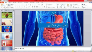 پاورپوینت   زیست دهم تجربی   فصل دوم   گفتار دوم   (ساختار و عملکرد لوله گوارش)
