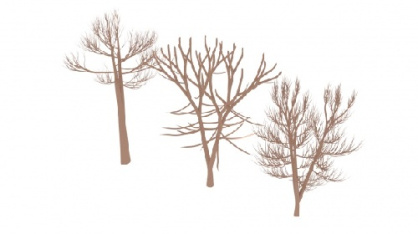 مجموعه مدل های سه بعدی درخت های بدون برگ (تری دی اس مکس)