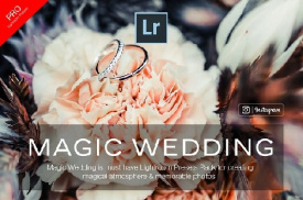 دانلود مجموعه فوق العاده 330 پریست لایت روم با موضوع عروسی  Wedding Bundle Lightroom Presets