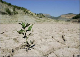 تحقیق درباره خشکسالی و انواع خشکسالی و راه های مقابله با خشکسالی با تصویر