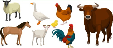 وکتور حیوانات مزرعه-گاو -گوسفند-اسب -مرغ و خروس جوجه -اردک-بز-فایل کورل