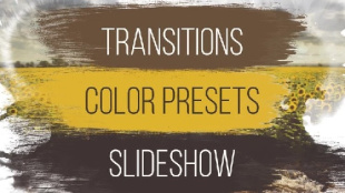 دانلود پروژه اسلایدشو عروسی پریمیر همراه ترانزیشن و پریست تنظیم رنگ Wedding: Transitions, Color Presets, Slideshow