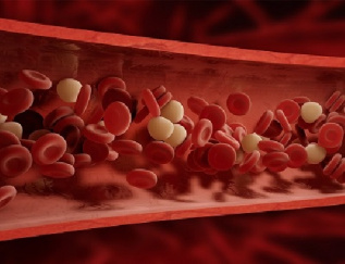 پاورپوینت کامل و جامع با عنوان فرآورده های خونی در 29 اسلاید