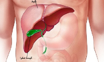 پاورپوینت کامل و جامع با عنوان ارزیابی ها و آزمایش های کبدی در 35 اسلاید