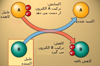 پاورپوینت کامل و جامع با عنوان واکنش های اکسایش-کاهش و سلول های الکتروشیمیایی در 44 اسلاید