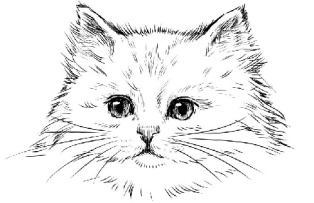 وگتور گربه-وکتور سبک نقاشی-فایل کورل