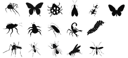 وکتور حشرات-وکتور مورچه-وکتور عنکبوت-وکتور پشه-وکتور سوسک-وکتور کفش دوزک-وکتورکرم-وکتور عقرب-وکتور پروانه-فایل کورل