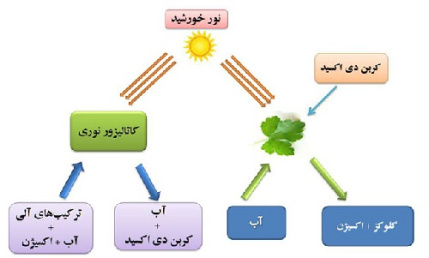 پاورپوینت درباره بررسی خواص نوری و کاربرد آن در کشاورزی