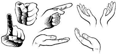 وکتور دست-وکتور اشاره دست-وکتور حالات دست--وکتور انگشت-وکتور اشاره-فایل کورل