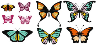 وکتور پروانه -لگوی پروانه-استیکر-فایل کورل