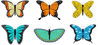 وکتور پروانه -لگوی پروانه-استیکر-فایل کورل