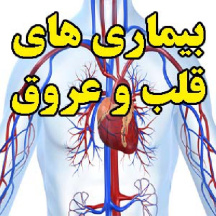 بیماری های قلب و عروق