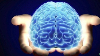 دانلود مقاله درباره ساختار مغز