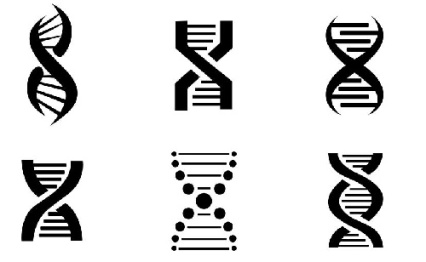 وکتور دی ان ای-لگوی دی ان ای-وکتور DNA -فایل کورل