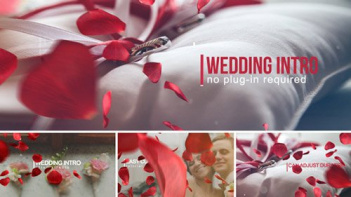 دانلود پروژه آماده افترافکت استارت فیلم عروس و داماد Wedding Intro
