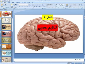 پاورپوینت فصل چهارم علوم تجربی پایه هشتم: تنظیم عصبی