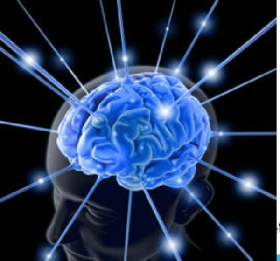 پاورپوینت جامع و کامل درباره مغز و فرآیندهای یادگیری با مغز -101 اسلاید