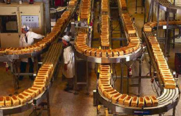 طرح توجیهی راه اندازی کارخانه نان صنعتی
