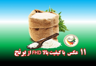 11عکس بدون بکگراند با کیفیت HD  از برنج