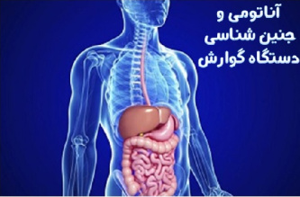 آناتومی و جنین شناسی دستگاه گوارش