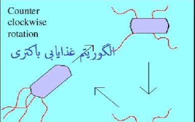 دانلود پاورپوینت الگوریتم بهینه سازی غذایابی باکتری BFO