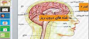 پاورپوینت گفتار دوم فصل چهارم زیست شناسی (2) پایه یازدهم